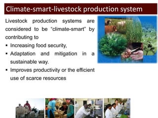 Options of making livestock production in West Africa “climate-smart”