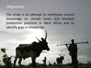 Options of making livestock production in West Africa “climate-smart”