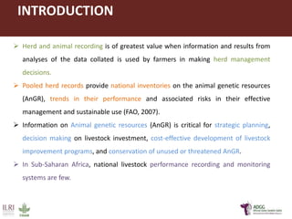 Innovative application of ICT tools for paperless data capture and feedback in smallholder dairy production systems: The Platform for African Dairy Genetic Gains (ADGG) 