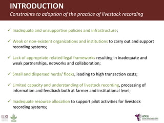 Innovative application of ICT tools for paperless data capture and feedback in smallholder dairy production systems: The Platform for African Dairy Genetic Gains (ADGG) 