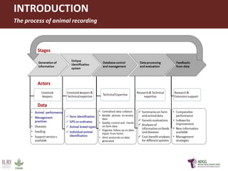 Innovative application of ICT tools for paperless data capture and feedback in smallholder dairy production systems: The Platform for African Dairy Genetic Gains (ADGG) 