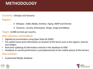Innovative application of ICT tools for paperless data capture and feedback in smallholder dairy production systems: The Platform for African Dairy Genetic Gains (ADGG) 