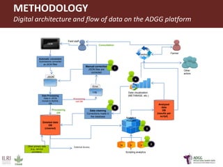 Innovative application of ICT tools for paperless data capture and feedback in smallholder dairy production systems: The Platform for African Dairy Genetic Gains (ADGG) 