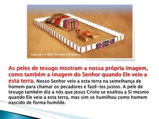 As peles de texugo mostram a nossa própria imagem, como também a imagem do Senhor quando Ele veio a esta terra. Nosso Senhor veio a esta terra na semelhança de homem para chamar os pecadores e fazê-los justos. A pele de texugo também diz a nós que Jesus Cristo se exaltou a Si mesmo quando Ele veio a esta terra, mas sim se humilhou como homem nascido de forma humilde.  