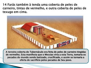 14 Farás também à tenda uma coberta de peles de carneiro, tintas de vermelho, e outra coberta de peles de texugo em cima. 
A terceira coberta do Tabernáculo era feita de peles de carneiro tingidas de vermelho. Esta manifesta que o Messias viria a esta Terra, tomaria os pecados do mundo sendo batizado, crucificado, e assim se tornaria a oferta de sacrifício pelos pecados de Seu povo.  