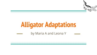Alligator Adaptations
by Maria A and Leona Y
 