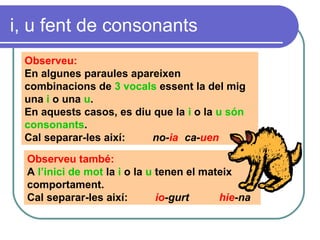 i, u fent de consonants
Observeu:
En algunes paraules apareixen
combinacions de 3 vocals essent la del mig
una i o una u.
En aquests casos, es diu que la i o la u són
consonants.
Cal separar-les així: no-ia ca-uen
Observeu també:
A l’inici de mot la i o la u tenen el mateix
comportament.
Cal separar-les així: io-gurt hie-na
 