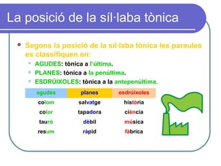 La posició de la síl·laba tònica
 Segons la posició de la síl·laba tònica les paraules
es classifiquen en:
 AGUDES: tònica a l’última.
 PLANES: tònica a la penúltima.
 ESDRÚIXOLES: tònica a la antepenúltima.
agudes planes esdrúixoles
colom salvatge història
color tapadora ciència
tauró dèbil música
resum ràpid fàbrica
 