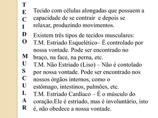 TECIDOMUSCULARTecido com célulasalongadasquepossuem a capacidade de se contrair  e depois se relaxar, produzindomovimentos.Existemtrêstipos de tecidosmusculares:T.M. EstriadoEsquelético– É controladopornossavontade. Pode ser encontrado no braço, na face, naperna, etc.T.M. NãoEstriado (Liso) – Não é contoladopornossavontade. Pode ser encontradonosnossosórgãosinternos, como o estômago, intestinos, pulmões, etc.T.M. EstriadoCardíaco – É o músculo do coração.Ele é estriado, mas é involuntário, isto é, nãoobedece a nossavontade.