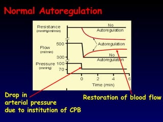 7 Adequacy Of Perfusion During Cardiopulmonary Bypass | PPT
