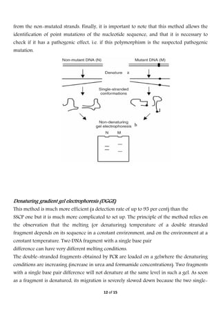  
12 of 15 
 
from the non-mutated strands. Finally, it is important to note that this method allows the
identification of point mutations of the nucleotide sequence, and that it is necessary to
check if it has a pathogenic effect, i.e. if this polymorphism is the suspected pathogenic
mutation.
Denaturing gradient gel electrophoresis (DGGE)
This method is much more efficient (a detection rate of up to 95 per cent) than the
SSCP one but it is much more complicated to set up. The principle of the method relies on
the observation that the melting (or denaturing) temperature of a double stranded
fragment depends on its sequence in a constant environment, and on the environment at a
constant temperature. Two DNA fragment with a single base pair
difference can have very different melting conditions.
The double-stranded fragments obtained by PCR are loaded on a gelwhere the denaturing
conditions are increasing (increase in urea and formamide concentrations). Two fragments
with a single base pair difference will not denature at the same level in such a gel. As soon
as a fragment is denatured, its migration is severely slowed down because the two single-
 