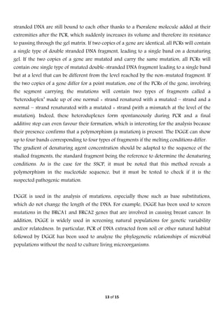  
13 of 15 
 
stranded DNA are still bound to each other thanks to a Psoralene molecule added at their
extremities after the PCR, which suddenly increases its volume and therefore its resistance
to passing through the gel matrix. If two copies of a gene are identical, all PCRs will contain
a single type of double stranded DNA fragment, leading to a single band on a denaturing
gel. If the two copies of a gene are mutated and carry the same mutation, all PCRs will
contain one single type of mutated double-stranded DNA fragment leading to a single band
but at a level that can be different from the level reached by the non-mutated fragment. If
the two copies of a gene differ for a point mutation, one of the PCRs of the gene, involving
the segment carrying the mutations will contain two types of fragments called a
‘heteroduplex’ made up of one normal + strand renatured with a mutated – strand and a
normal − strand renaturated with a mutated + strand (with a mismatch at the level of the
mutation). Indeed, these heteroduplexes form spontaneously during PCR and a final
additive step can even favour their formation, which is interesting for the analysis because
their presence confirms that a polymorphism (a mutation) is present. The DGGE can show
up to four bands corresponding to four types of fragments if the melting conditions differ.
The gradient of denaturing agent concentration should be adapted to the sequence of the
studied fragments, the standard fragment being the reference to determine the denaturing
conditions. As is the case for the SSCP, it must be noted that this method reveals a
polymorphism in the nucleotide sequence, but it must be tested to check if it is the
suspected pathogenic mutation.
DGGE is used in the analysis of mutations, especially those such as base substitutions,
which do not change the length of the DNA. For example, DGGE has been used to screen
mutations in the BRCA1 and BRCA2 genes that are involved in causing breast cancer. In
addition, DGGE is widely used in screening natural populations for genetic variability
and/or relatedness. In particular, PCR of DNA extracted from soil or other natural habitat
followed by DGGE has been used to analyze the phylogenetic relationships of microbial
populations without the need to culture living microorganisms.
 