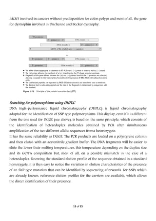  
15 of 15 
 
MLH1 involved in cancers without predisposition for colon polyps and most of all, the gene
for dystrophin involved in Duchenne and Becker dystrophy.
Searching for polymorphisms using DHPLC
DNA high-performance liquid chromatography (DHPLC) is liquid chromatography
adapted for the identification of SNP type polymorphisms. This display, even if it is different
from the one used for DGGE (see above), is based on the same principle, which consists of
the identification of heteroduplex molecules obtained by PCR after simultaneous
amplification of the two different allelic sequences froma heterozygote.
It has the same reliability as DGGE. The PCR products are loaded on a polystyrene column
and then eluted with an acetonitrile gradient buffer. The DNA fragments will be easier to
elute the lower their melting temperatures, this temperature depending on the duplex size
and its GC/TA composition but, most of all, on a possible mismatch in the case of a
heteroduplex. Knowing the standard elution profile of the sequence obtained in a standard
homozygote, it is then easy to notice the variation in elution characteristics of the presence
of an SNP type mutation that can be identified by sequencing afterwards. For SNPs which
are already known, reference elution profiles for the carriers are available, which allows
the direct identification of their presence.
 