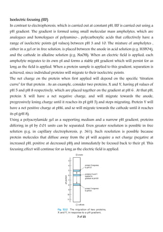  
7 of 15 
 
Isoelectric focusing (IEF)
In contrast to electrophoresis, which is carried out at constant pH, IEF is carried out using a
pH gradient. The gradient is formed using small molecular mass ampholytes, which are
analogues and homologues of polyamino-, polycarboxylic acids that collectively have a
range of isoelectric points (pI values) between pH 3 and 10. The mixture of ampholytes ,
either in a gel or in free solution, is placed between the anode in acid solution (e.g. H3PO4),
and the cathode in alkaline solution (e.g. NaOH). When an electric field is applied, each
ampholyte migrates to its own pI and forms a stable pH gradient which will persist for as
long as the field is applied. When a protein sample is applied to this gradient, separation is
achieved, since individual proteins will migrate to their isoelectric points.
The net charge on the protein when first applied will depend on the specific ‘titration
curve’ for that protein . As an example, consider two proteins, X and Y, having pI values of
pH 5 and pH 8 respectively, which are placed together on the gradient at pH 6 . At that pH,
protein X will have a net negative charge, and will migrate towards the anode,
progressively losing charge until it reaches its pI (pH 5) and stops migrating. Protein Y will
have a net positive charge at pH6, and so will migrate towards the cathode until it reaches
its pI (pH 8).
Using a polyacrylamide gel as a supporting medium and a narrow pH gradient, proteins
differing in pI by 0.01 units can be separated. Even greater resolution is possible in free
solution (e.g. in capillary electrophoresis, p. 361). Such resolution is possible because
protein molecules that diffuse away from the pI will acquire a net charge (negative at
increased pH, positive at decreased pH) and immediately be focused back to their pI. This
focusing effect will continue for as long as the electric field is applied.
 