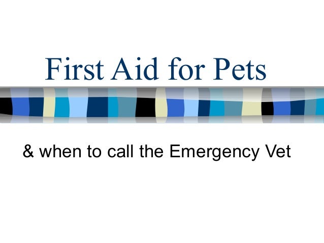 emergency vet call