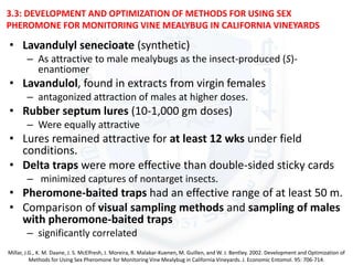 3.3: DEVELOPMENT AND OPTIMIZATION OF METHODS FOR USING SEX
PHEROMONE FOR MONITORING VINE MEALYBUG IN CALIFORNIA VINEYARDS
• Lavandulyl senecioate (synthetic)
– As attractive to male mealybugs as the insect-produced (S)-
enantiomer
• Lavandulol, found in extracts from virgin females
– antagonized attraction of males at higher doses.
• Rubber septum lures (10-1,000 gm doses)
– Were equally attractive
• Lures remained attractive for at least 12 wks under field
conditions.
• Delta traps were more effective than double-sided sticky cards
– minimized captures of nontarget insects.
• Pheromone-baited traps had an effective range of at least 50 m.
• Comparison of visual sampling methods and sampling of males
with pheromone-baited traps
– significantly correlated
Millar, J.G., K. M. Daane, J. S. McElfresh, J. Moreira, R. Malakar-Kuenen, M. Guillen, and W. J. Bentley. 2002. Development and Optimization of
Methods for Using Sex Pheromone for Monitoring Vine Mealybug in California Vineyards. J. Economic Entomol. 95: 706-714.
 