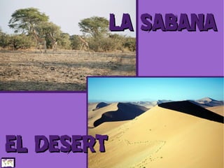 LA SABANA



EL DESERT
 