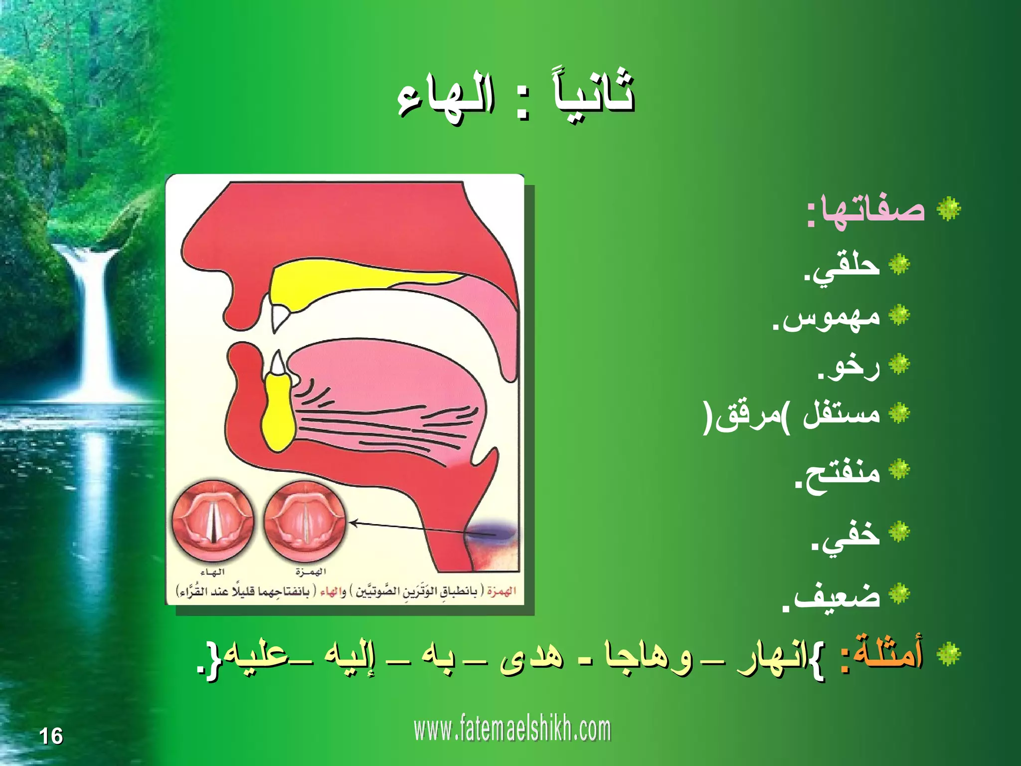 ‫ثاني ً : الهاء‬
                         ‫ا‬
                                            ‫صفاتها:‬
                                            ‫حلقي.‬
                                         ‫مهموس.‬
                                             ‫رخو.‬
                                     ‫مستفل (مرقق)‬
                                           ‫منفتح.‬
                                            ‫خفي.‬
                                          ‫ضعيف.‬
     ‫أمثلة: {انهار – وهاجا - هدى – به – إليه –عليه}.‬
‫61‬
 