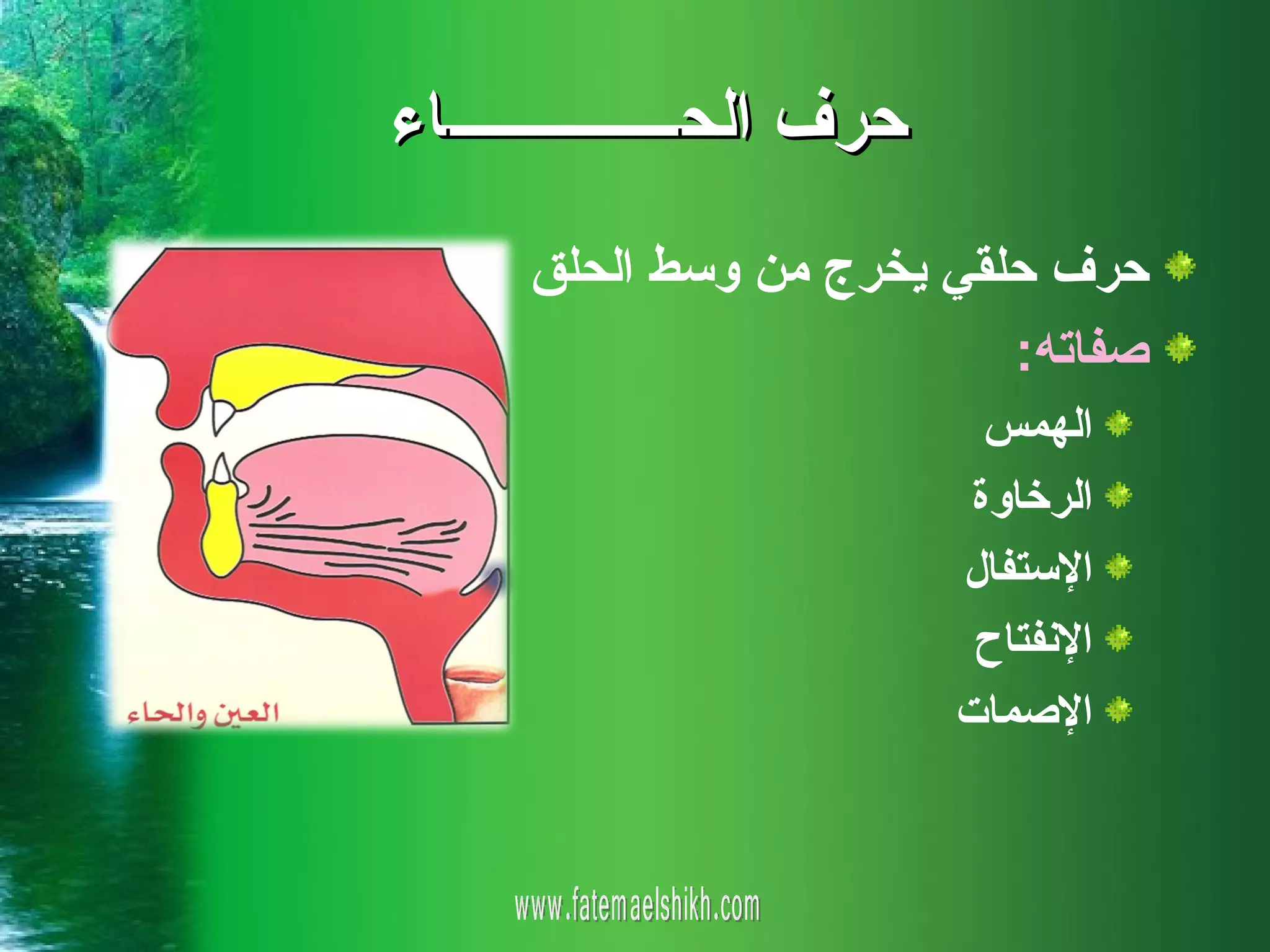 ‫حرف الحـــــــــــــــاء‬
      ‫حرف حلقي يخرج من وسط الحلق‬
                           ‫صفاته:‬
                             ‫الهمس‬
                            ‫الرخاوة‬
                           ‫الستفال‬
                            ‫النفتاح‬
                           ‫الصمات‬
 