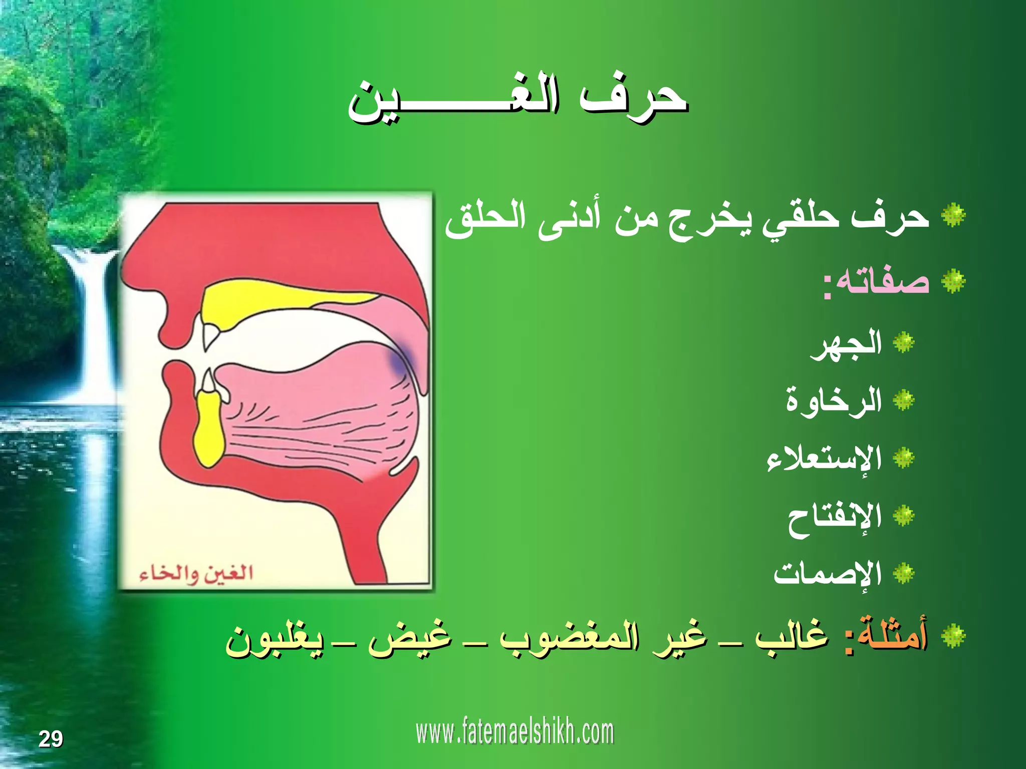 ‫حرف الغـــــــــين‬
                 ‫حرف حلقي يخرج من أدنى الحلق‬
                                       ‫صفاته:‬
                                      ‫الجهر‬
                                    ‫الرخاوة‬
                                   ‫الستعلء‬
                                    ‫النفتاح‬
                                   ‫الصمات‬
     ‫أمثلة: غالب – غير المغضوب – غيض – يغلبون‬

‫92‬
 