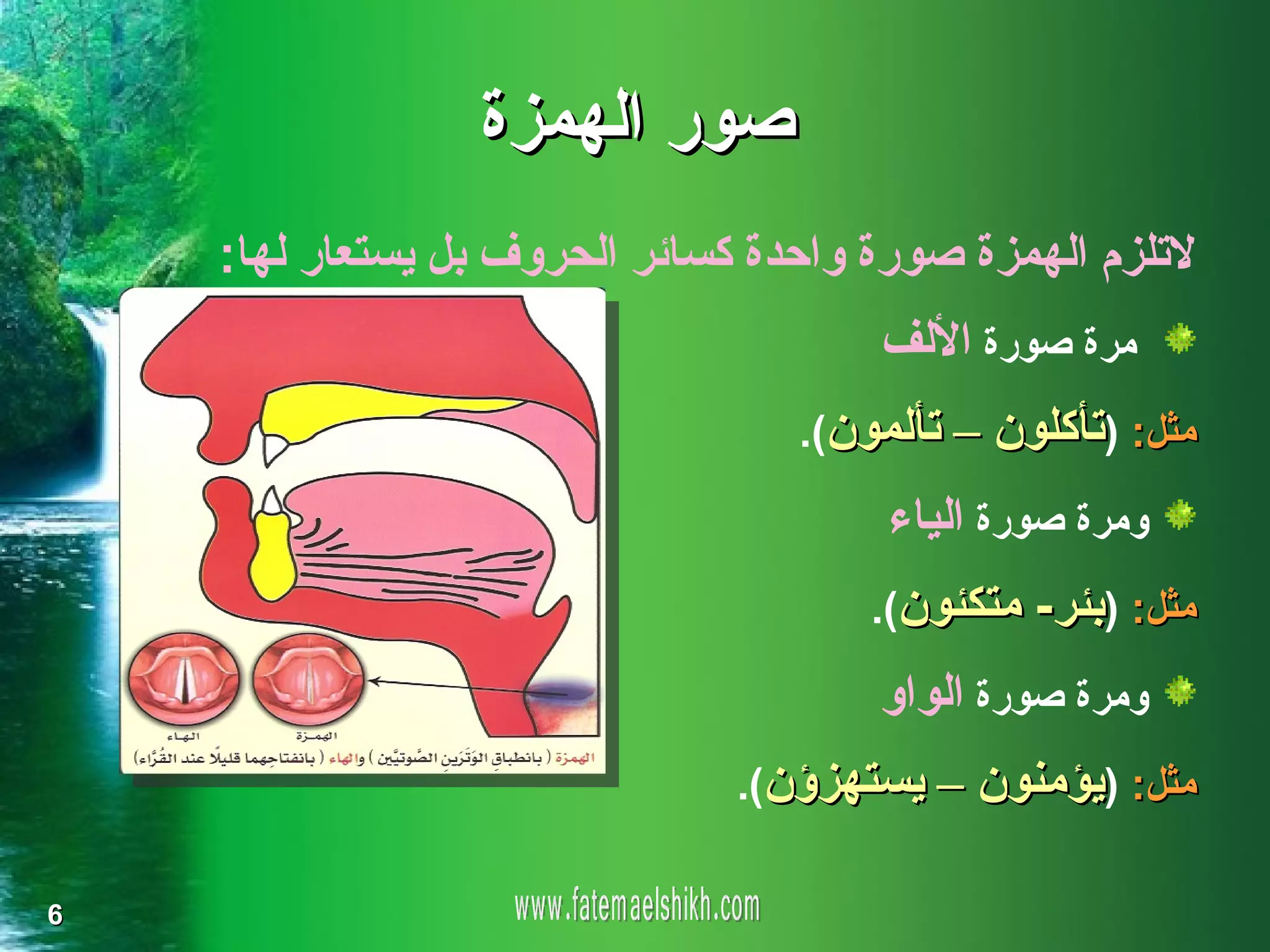 ‫صور الهمزة‬
    ‫لتلزم الهمزة صورة واحدة كسائر الحروف بل يستعار لها:‬
                                      ‫مرة صورة اللف‬
                                  ‫مثل: )تأكلون – تألمون(.‬

                                       ‫ومرة صورة الياء‬
                                      ‫مثل: )بئر- متكئون(.‬

                                      ‫ومرة صورة الواو‬
                               ‫مثل: )يؤمنون – يستهزؤن(.‬

‫6‬
 