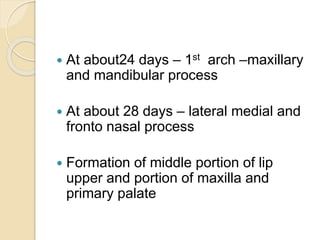  At about24 days – 1st arch –maxillary
and mandibular process
 At about 28 days – lateral medial and
fronto nasal process
 Formation of middle portion of lip
upper and portion of maxilla and
primary palate
 