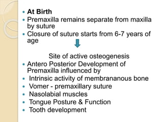  At Birth
 Premaxilla remains separate from maxilla
by suture
 Closure of suture starts from 6-7 years of
age
Site of active osteogenesis
 Antero Posterior Development of
Premaxilla influenced by
 Intrinsic activity of membrananous bone
 Vomer - premaxillary suture
 Nasolabial muscles
 Tongue Posture & Function
 Tooth development
 
