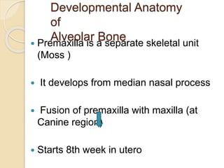  alveolar bone grafting Slide 8