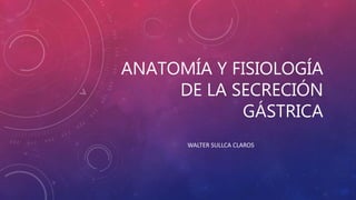 ANATOMÍA Y FISIOLOGÍA
DE LA SECRECIÓN
GÁSTRICA
WALTER SULLCA CLAROS
 
