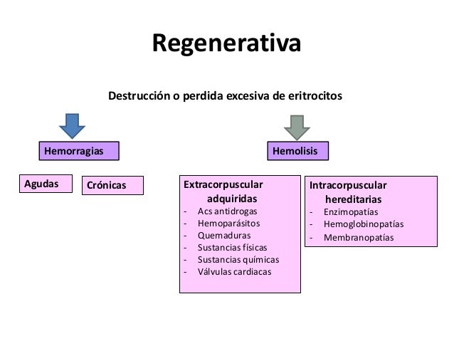 7 Anemia hemolítica