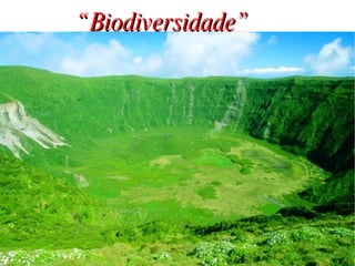 “ Biodiversidade” 