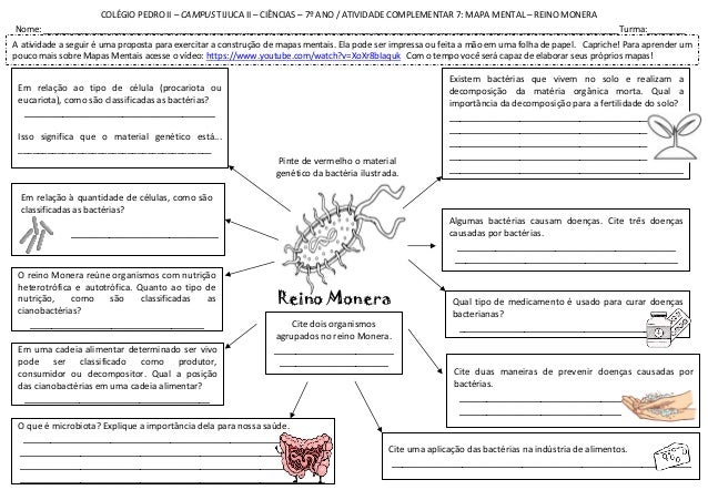 7ano-Mapa-Mental-Reino-Monera.pdf