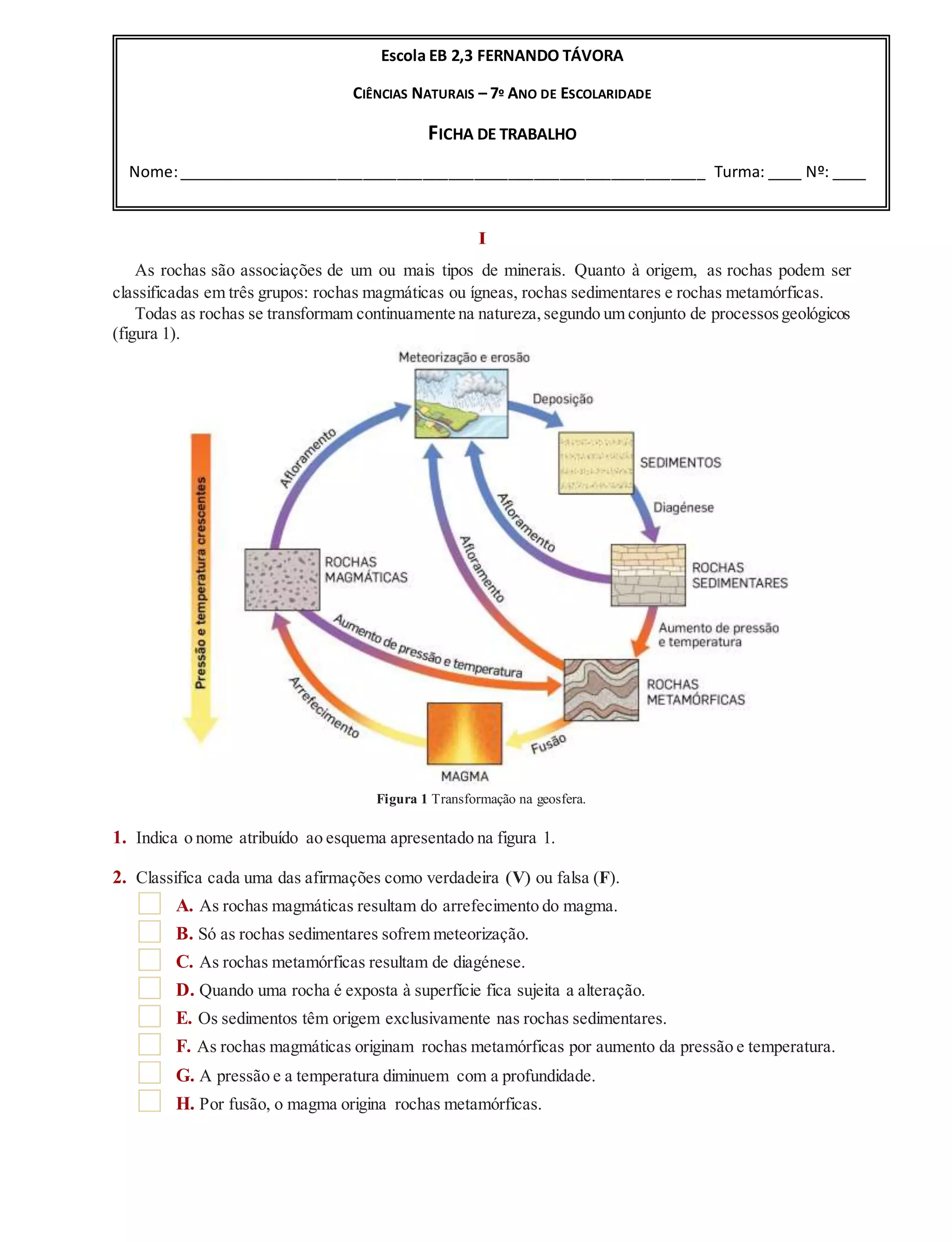 7-ano-minerais-docx
