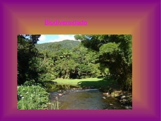 Biodiversidade