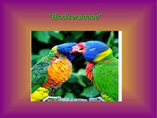 ''Biodiversidade''