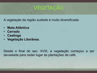 VEGETAÇÃO
A vegetação da região sudeste é muito diversificada:
• Mata Atlântica
• Cerrado
• Caatinga
• Vegetação Litorânea.
Desde o final do sec. XVIII, a vegetação começou a ser
devastada para ceder lugar às plantações de café.
 