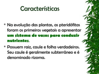 Características

 Na evolução das plantas, as pteridófitas
  foram os primeiros vegetais a apresentar
  um sistema de vasos para conduzir
  nutrientes.
 Possuem raiz, caule e folha verdadeiros.

  Seu caule é geralmente subterrâneo e é
  denominado rizoma.
 