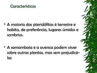 Características



   A maioria das pteridófitas é terrestre e
    habita, de preferência, lugares úmidos e
    sombrios.

   A samambaia e a avenca podem viver
    sobre outras plantas, mas sem prejudicá-
    las
 