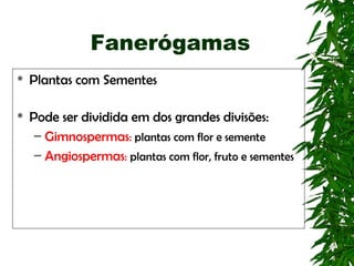 Fanerógamas
   Plantas com Sementes

   Pode ser dividida em dos grandes divisões:
     – Gimnospermas: plantas com flor e semente
     – Angiospermas: plantas com flor, fruto e sementes
 