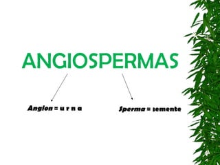 ANGIOSPERMAS
Angion = u r n a   Sperma = semente
 