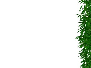 7º ano    reino plantae 1