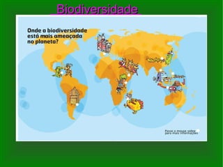 Biodiversidade  