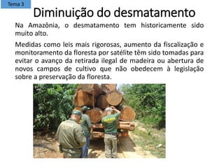 Diminuição do desmatamento
Na Amazônia, o desmatamento tem historicamente sido
muito alto.
Medidas como leis mais rigorosas, aumento da fiscalização e
monitoramento da floresta por satélite têm sido tomadas para
evitar o avanço da retirada ilegal de madeira ou abertura de
novos campos de cultivo que não obedecem à legislação
sobre a preservação da floresta.
Tema 3
 