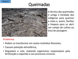 Queimadas
Problemas
• Podem se transformar em vastos incêndios florestais;
• Causam poluição atmosférica;
• Degradam o solo, matando organismos responsáveis pela
fertilização e expondo-o aos processos erosivos.
Tema 3
A técnica das queimadas
é antiga e herdada dos
indígenas para queimar
a mata e, assim, facilitar
a limpeza para se abrir
um campo de cultivo ou
área de pastagem.
 