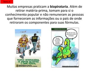 Muitas empresas praticam a biopirataria. Além de
retirar matéria-prima, tomam para si o
conhecimento popular e não remuneram as pessoas
que forneceram as informações ou o país de onde
retiraram os componentes para suas fórmulas.
Tema 4
 