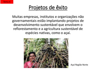Projetos de êxito
Muitas empresas, institutos e organizações não
governamentais estão implantando projetos de
desenvolvimento sustentável que envolvem o
reflorestamento e a agricultura sustentável de
espécies nativas, como o açaí.
Açaí Região Norte
Tema 4
 