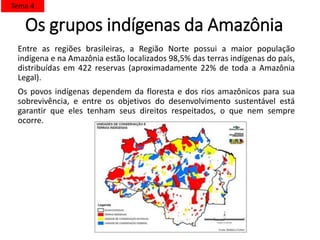Os grupos indígenas da Amazônia
Entre as regiões brasileiras, a Região Norte possui a maior população
indígena e na Amazônia estão localizados 98,5% das terras indígenas do país,
distribuídas em 422 reservas (aproximadamente 22% de toda a Amazônia
Legal).
Os povos indígenas dependem da floresta e dos rios amazônicos para sua
sobrevivência, e entre os objetivos do desenvolvimento sustentável está
garantir que eles tenham seus direitos respeitados, o que nem sempre
ocorre.
Tema 4
 
