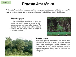 Floresta Amazônica
A Floresta Amazônica, desde as regiões com proximidades com o Rio Amazonas, Rio
Negro, Rio Madeira e até as partes mais altas, está dividida ou subdividida em:
Mata de igapó
Essa composição vegetativa ocorre em
áreas de baixo relevo próximas a rios,
permanecendo, por essa razão, alagada. As
plantas dessas áreas apresentam estatura
máxima de 20 metros, além de cipós e
plantas aquáticas.
Mata de várzea
Vegetação que se estabelece em áreas mais
elevadas em relação às matas de igapó, mesmo
assim sofre inundações, porém somente nos
períodos de cheias. Nelas ocorrem algumas
espécies de grande porte, como o cacaueiro e a
seringueira
Tema 1
 