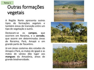 Outras formações
vegetais
A Região Norte apresenta outros
tipos de formações vegetais e
também áreas de transição entre um
tipo de vegetação e outro.
Destacam-se os campos, que
ocorrem em Roraima, e o cerrado,
que ocorre em determinadas áreas
de Roraima, Pará, Amapá e em
grande parte de Tocantins.
Já em áreas costeiras dos estados do
Amapá e Pará, as matas de igapó e as
matas de várzea dão lugar aos
mangues da Amazônia, áreas de
grande biodiversidade.
Tema 1
 