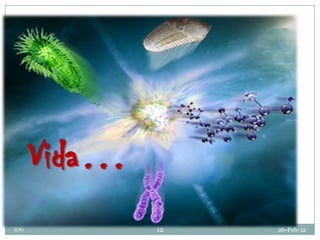 Vida…
IDG           12   26-Feb-12
 